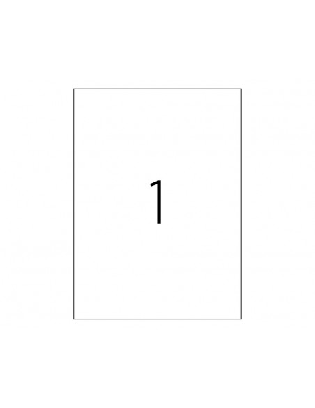 ETICHETE 1/A4 210*297MM COLTURI DREPTE 100/TOP TANEX,TW2000