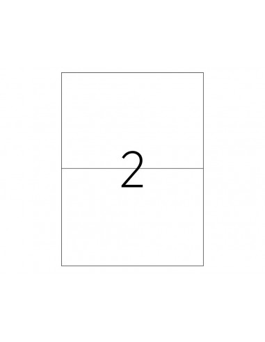 ETICHETE 2/A4 210*148.5MM COLTURI DREPTE 100/TOP TANEX,TW2102