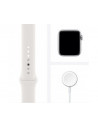 Ceas Smartwatch Apple Watch S6 GPS + Cellular Regular, 40mm