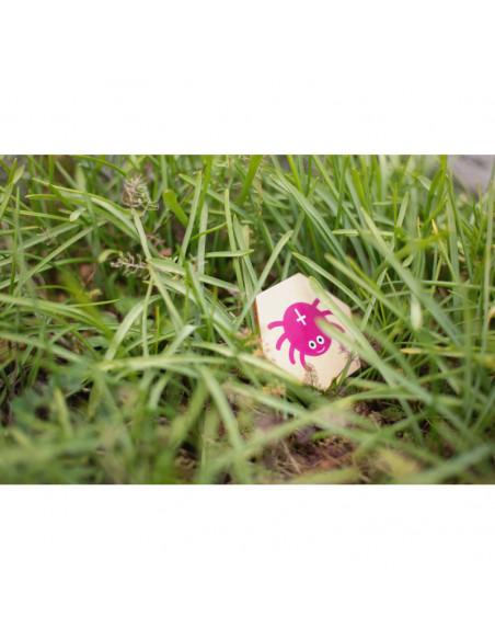 Insecte - Joc de cautare activa, BS Toys,GA392