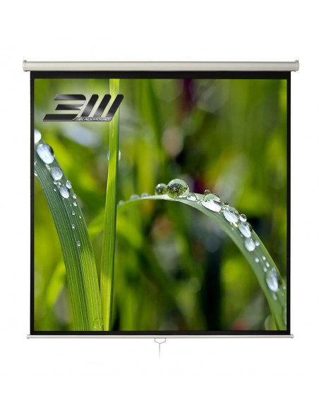 Ecran proiectie manual, perete/tavan, 300 x 300 cm, Blackmount