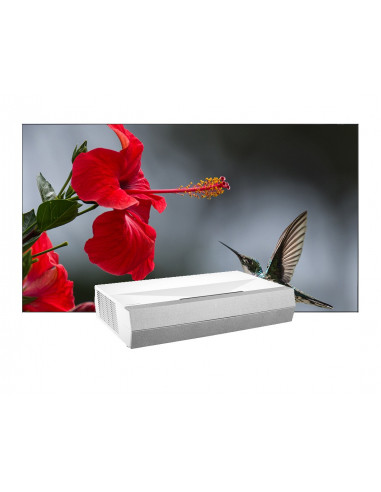 Laser Projection TV Smart CinemaX P2 si Ecran fix, EliteScreens