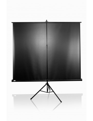 Ecran proiectie cu trepied, 240 x 180 cm, profesional