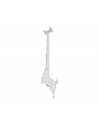 Suport TV de tavan Multibrackets MB-4757, reglabil 550-1500mm