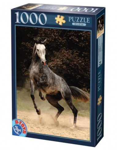Puzzle D-Toys Cal Model 2, 1000 Piese,Uniq65988-2