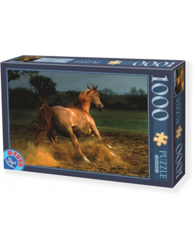 Puzzle D-Toys Cal Model 4, 1000 Piese,Uniq65988-4