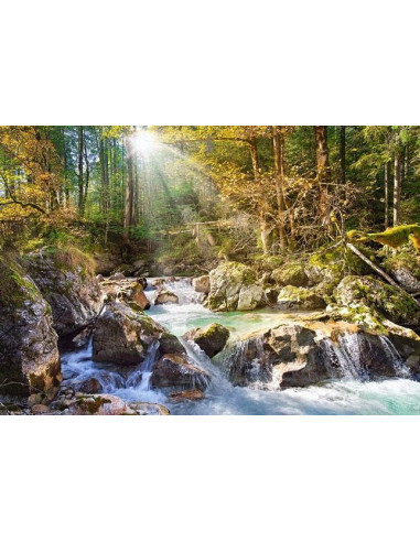 Sunny Forest Stream, Puzzle Castorland, 2000 Piese,Uniq200382