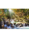 Sunny Forest Stream, Puzzle Castorland, 2000 Piese,Uniq200382