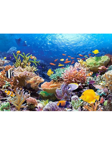 Coral Reef Fishes, Puzzle Castorland, 1000 Piese,Uniq101511