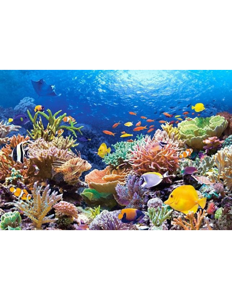 Coral Reef Fishes, Puzzle Castorland, 1000 Piese,Uniq101511