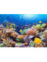 Coral Reef Fishes, Puzzle Castorland, 1000 Piese,Uniq101511