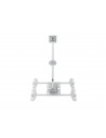 Suport TV tavan Multibrackets MB-2517, diagonala 55"-70"