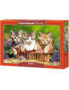 Trei Pisici Superbe, Puzzle Castorland, 500 Piese,Uniq52561