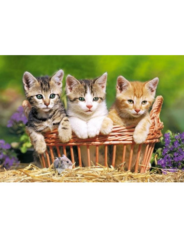 Trei Pisici Superbe, Puzzle Castorland, 500 Piese,Uniq52561