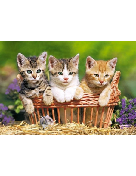 Trei Pisici Superbe, Puzzle Castorland, 500 Piese,Uniq52561