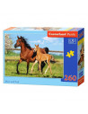 Mare And Foal, Puzzle Castorland, 260 Piese,Uniq27064