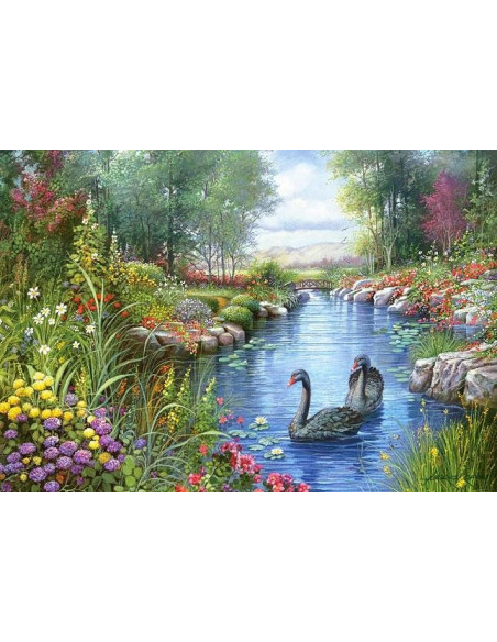Lebede Negre, Andres Orpinas, Puzzle Castorland, 1500
