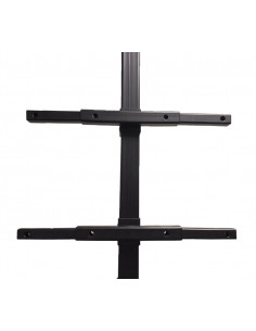 Stand motorizat Blackmount ITM05 pentru solutii 2