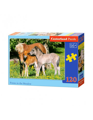 Ponei, Puzzle Castorland, 120 Piese,Uniq12909