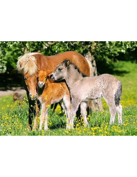 Ponei, Puzzle Castorland, 120 Piese,Uniq12909