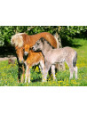 Ponei, Puzzle Castorland, 120 Piese,Uniq12909