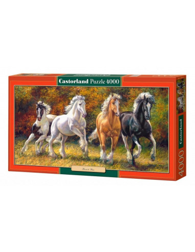 Born To Run, Puzzle Castorland, 4000 Piese,Uniq400119