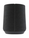 Boxa Harman Kardon Citation 300, Color touch display, Google