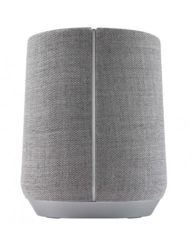Boxa Harman Kardon Citation 300, Color touch display, Google
