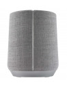 Boxa Harman Kardon Citation 300, Color touch display, Google