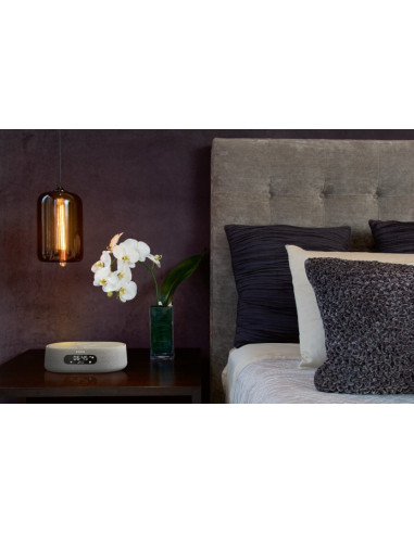Boxa portabila cu ceas/ radio Harman Kardon Citation Oasis
