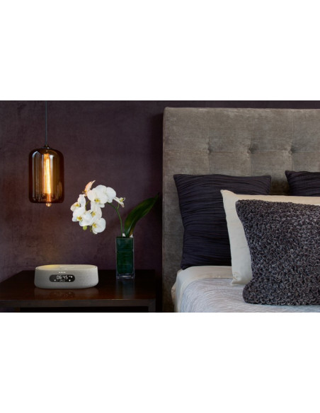 Boxa portabila cu ceas/ radio Harman Kardon Citation Oasis