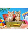 Turisti, Puzzle Castorland, 108 Piese,Uniq10141