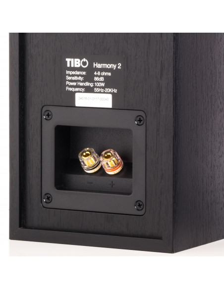 Boxe pasive de raft Tibo Harmony2, 100W, Hi-Fi,HARMONY2