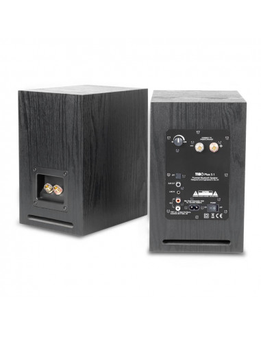 Boxe active de raft Tibo Plus3.1, 2x55W, Bluetooth, Hi-Fi