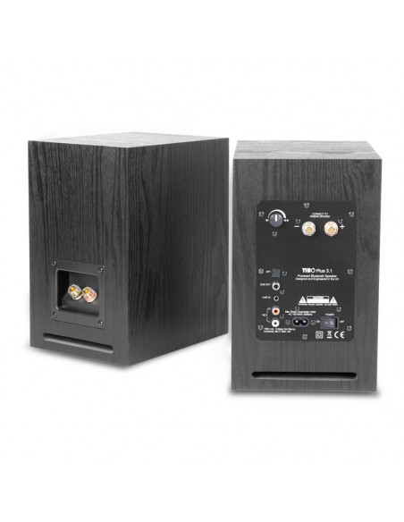 Boxe active de raft Tibo Plus3.1, 2x55W, Bluetooth, Hi-Fi