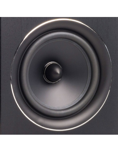 Boxe pasive de raft TIBO Harmony 4, 150W RMS, Hi-Fi,HARMONY4