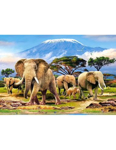 Kilimanjaro Morning, Puzzle Castorland, 1000 Piese,Uniq103188
