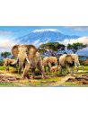 Kilimanjaro Morning, Puzzle Castorland, 1000 Piese,Uniq103188
