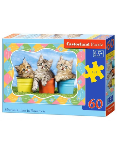 Siberian Kittens In Flowerpots, Puzzle Castorland, 60
