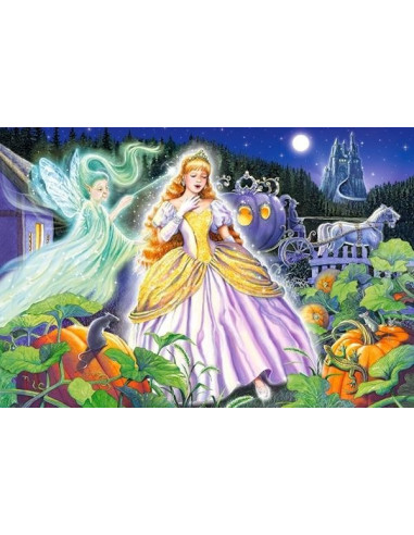 Cenusareasa, Puzzle Castorland Maxi Model 1, 40 piese,Uniq40155