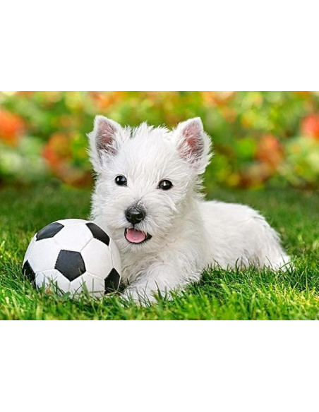 White Terrier and Football, Puzzle Castorland, 60 piese,Uniq6823