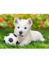 White Terrier and Football, Puzzle Castorland, 60 piese,Uniq6823