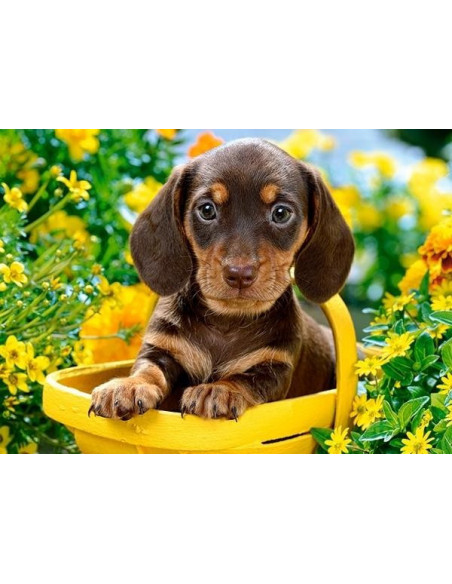 Puppy in Yellow, Puzzle Castorland, 180 piese,Uniq18161