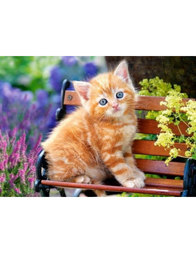 Ginger Kitten, Puzzle Castorland, 180 piese,Uniq18178
