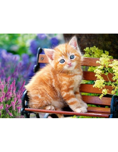 Ginger Kitten, Puzzle Castorland, 180 piese,Uniq18178