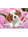 Pup in Pink Flowers, Puzzle Castorland, 180 piese,Uniq18185