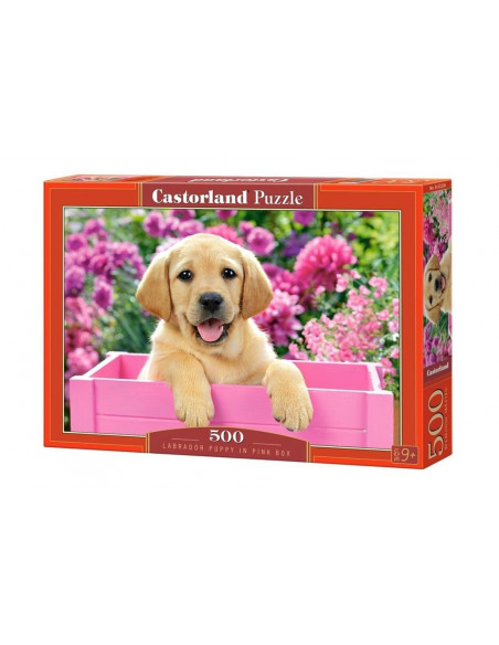 Labrador Puppy in Pink Box, Puzzle Castorland, 500