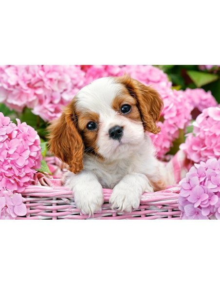 Pup in Pink Flowers, Puzzle Castorland, 500 piese,Uniq52233