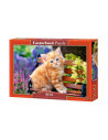 Ginger Kitten, Puzzle Castorland, 500 piese,Uniq52240