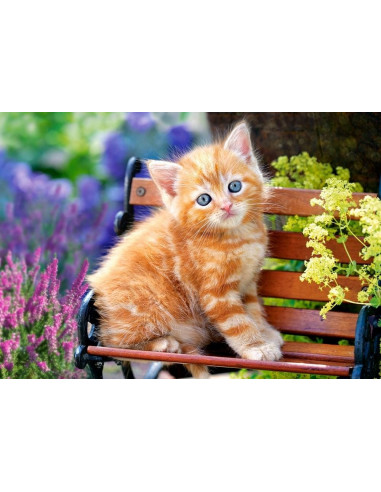 Ginger Kitten, Puzzle Castorland, 500 piese,Uniq52240